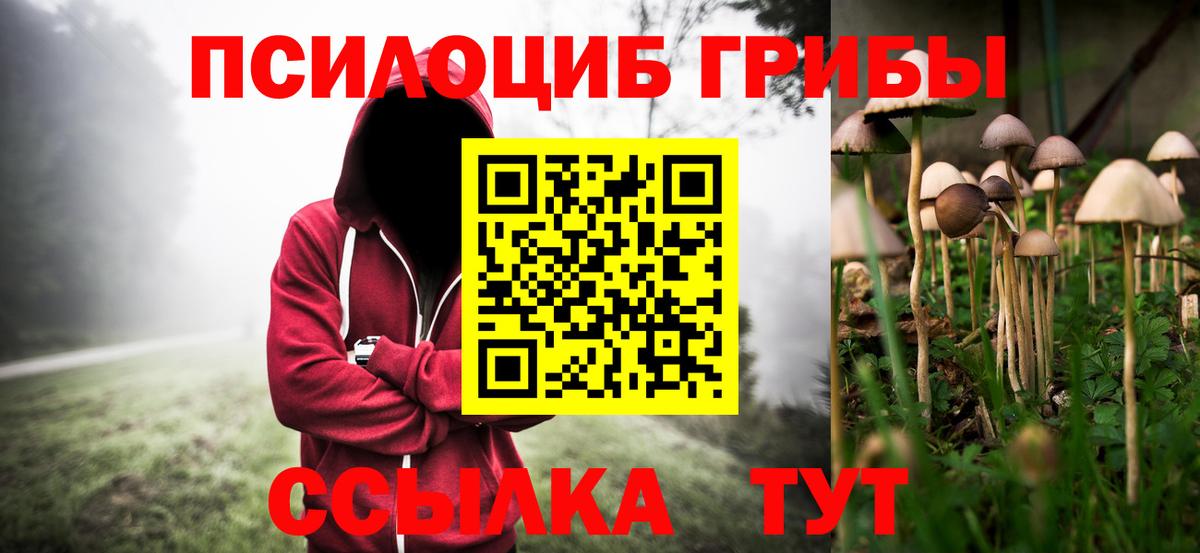 Псилоцибиновые грибы мицелий  Вход с VPN  Псилоцибиновые грибы прущие грибы  Кувандык 