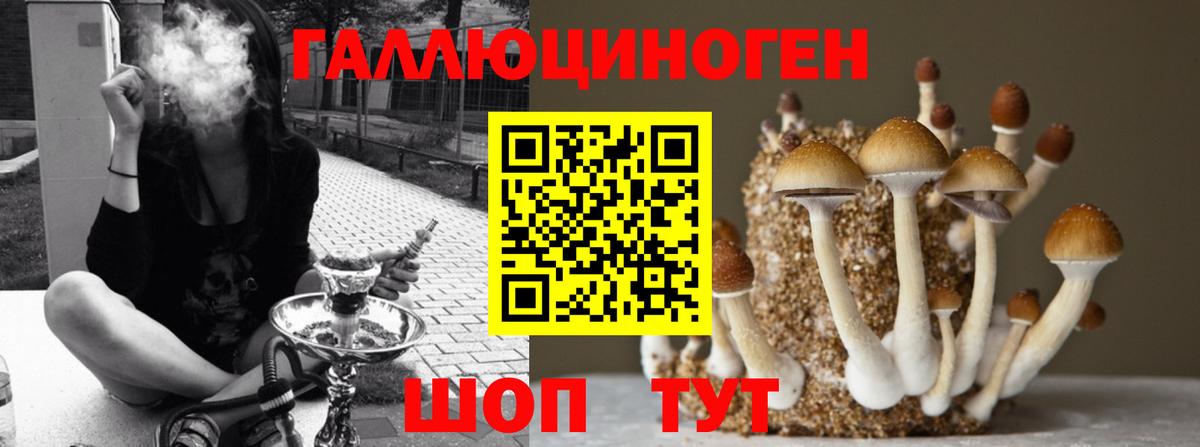 Галлюциногенные грибы мицелий Кувандык